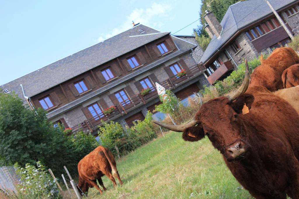 Les Charmilles Hotel Besse-et-Saint-Anastaise